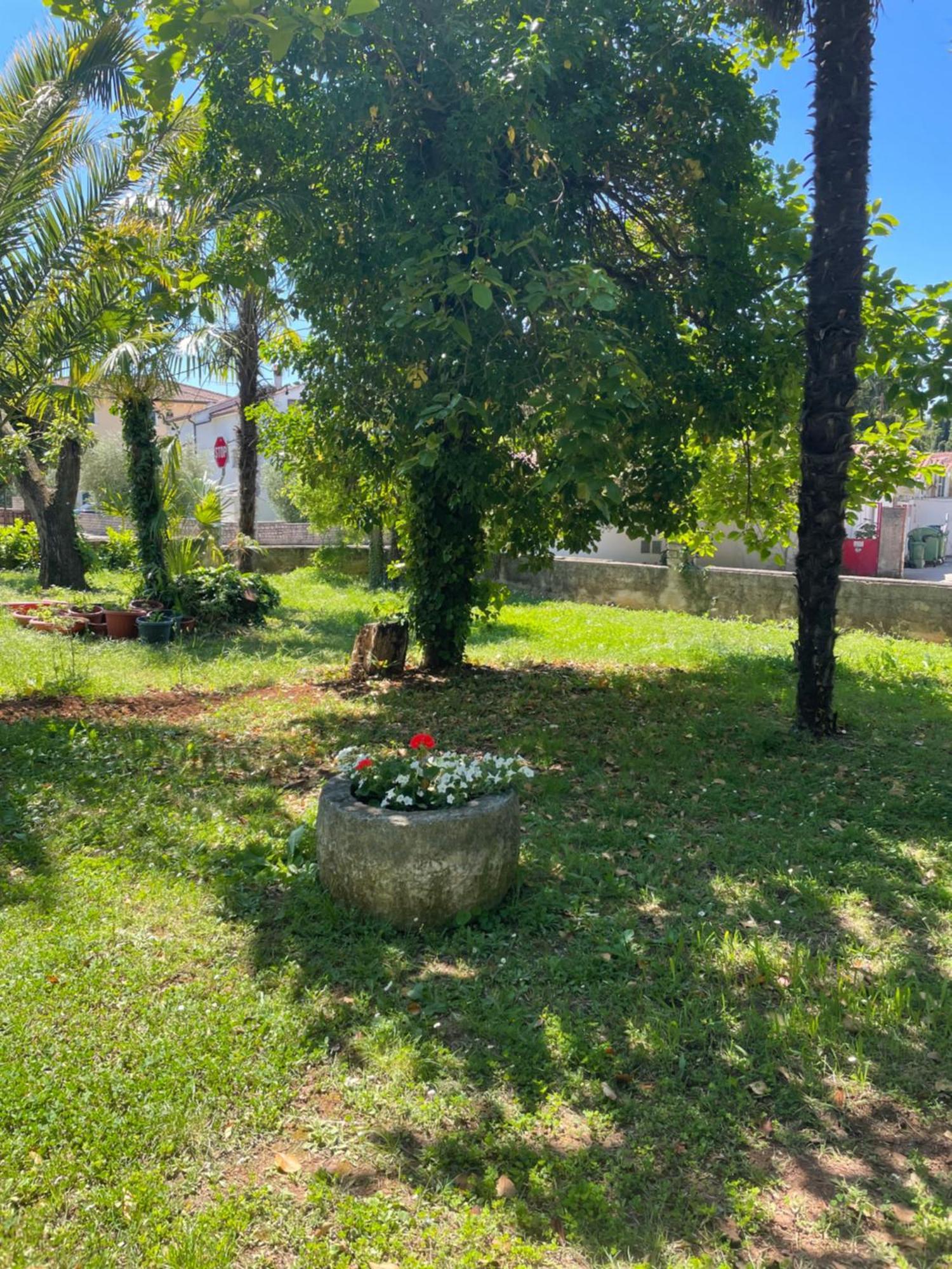 Apartments Bloom Near The Beach Poreč Zewnętrze zdjęcie